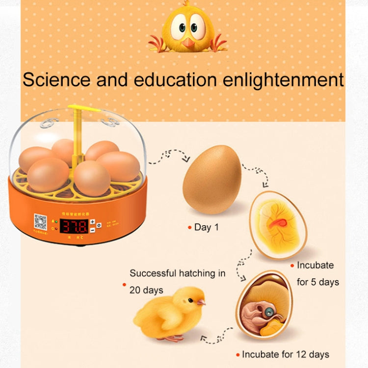 6-Eggs Small Household Experimental Children Smart Chicken Incubators, Spec: Manual UK Plug - Incubators by buy2fix | Online Shopping UK | buy2fix