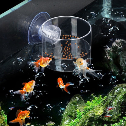 Acrylic Transparent Feeding Ring Fish Tank Feeder Floating Fixed Fish Feeder, Specification: Small Square - Feeders by buy2fix | Online Shopping UK | buy2fix