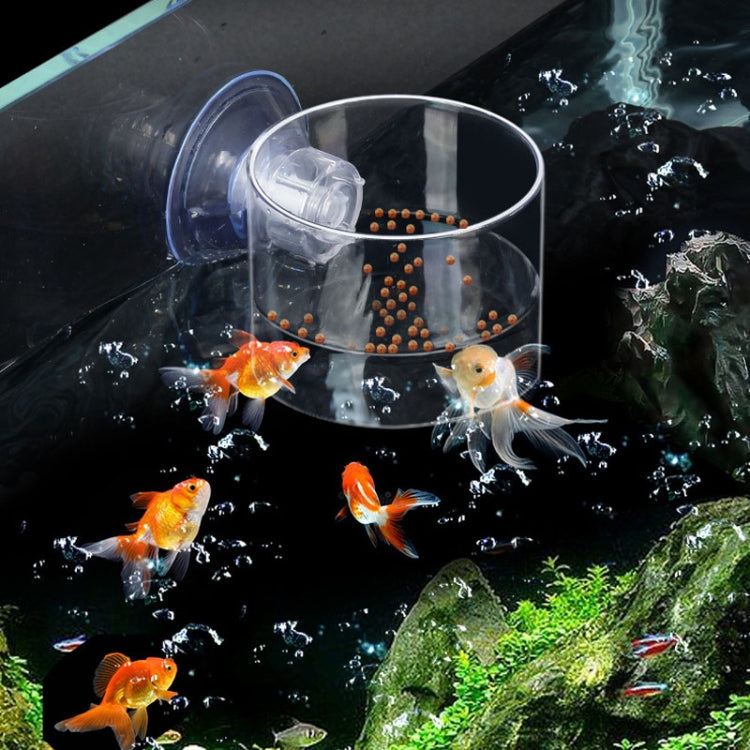 Acrylic Transparent Feeding Ring Fish Tank Feeder Floating Fixed Fish Feeder, Specification: Small Cylinder - Feeders by buy2fix | Online Shopping UK | buy2fix