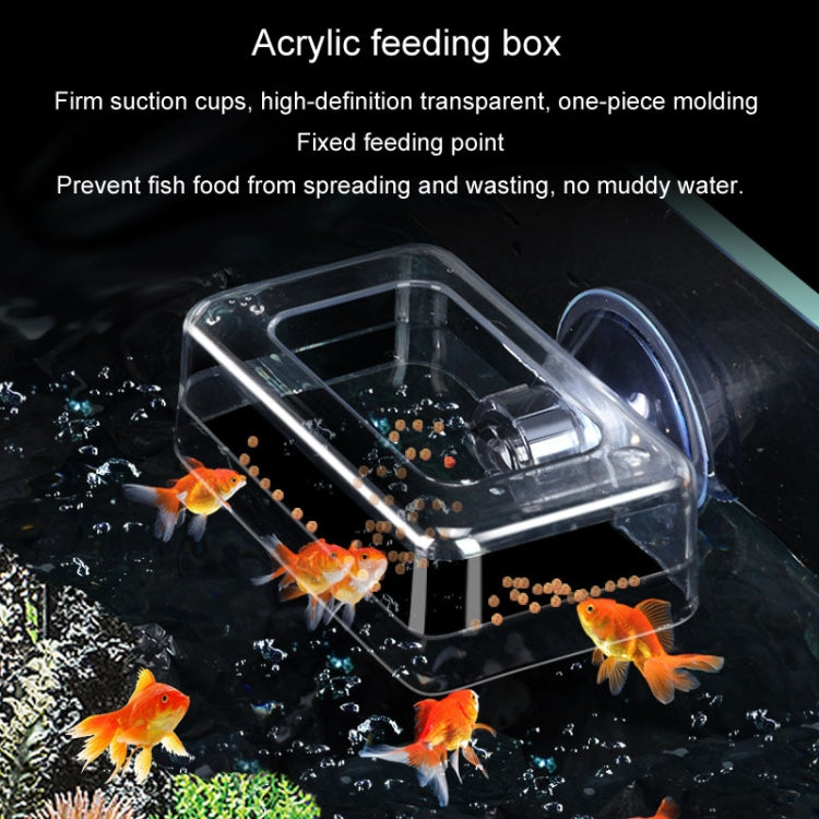 Acrylic Transparent Feeding Ring Fish Tank Feeder Floating Fixed Fish Feeder, Specification: Large Cylinder - Feeders by buy2fix | Online Shopping UK | buy2fix