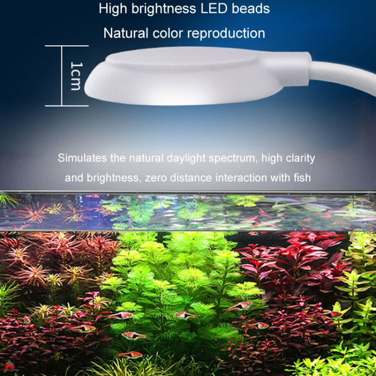 5W Fish Tank LED Clip Light USB Plug Lighting Aquarium Translucent Aquatic Plants Lamp(Black) - Fish Tank Lamps by buy2fix | Online Shopping UK | buy2fix