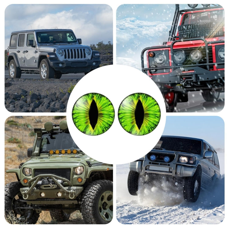 1pair Beast Eyes Headlight Decorative Stickers Off-Road Vehicle Front Lights Stereo Decals, Style: 9 by buy2fix