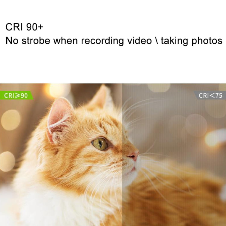 WS-300II Video Fill Light Dual Color Temperature LED Beauty Shooting Light, Spec: Single Lamp+EU Plug Adapter -  by buy2fix | Online Shopping UK | buy2fix