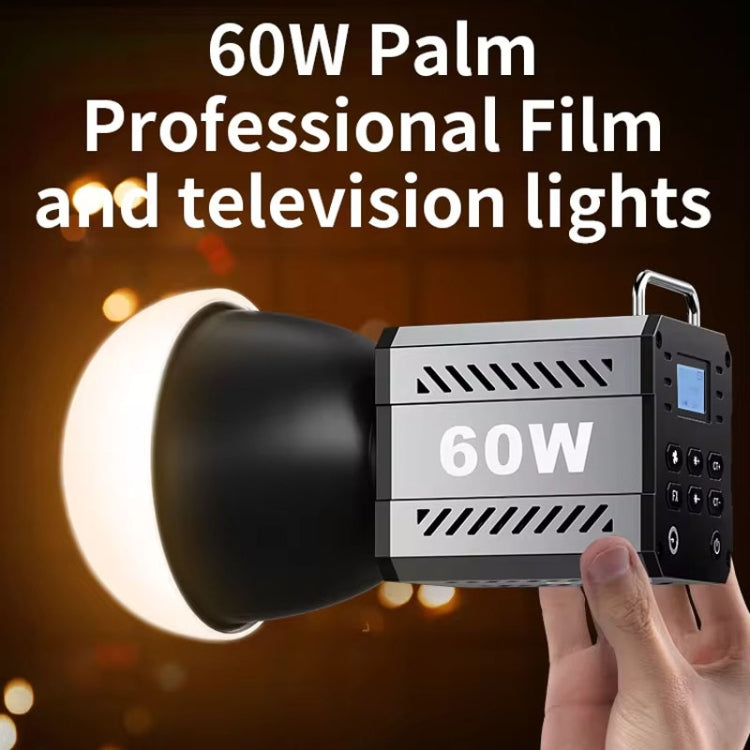 Desiontal ZU-60 60W Hand-Held Camera Light High Power Fill Light, EU Plug, Spec: Standard -  by Desiontal | Online Shopping UK | buy2fix