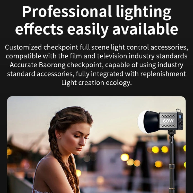 Desiontal ZU-60 60W Hand-Held Camera Light High Power Fill Light, EU Plug, Spec: Standard -  by Desiontal | Online Shopping UK | buy2fix