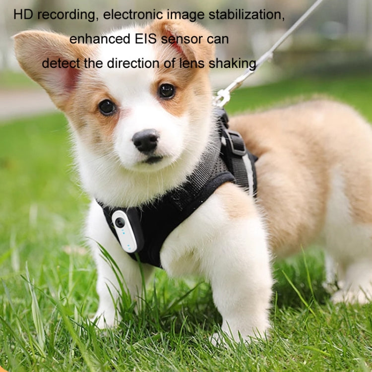 HD Outdoor Portable Pet Recorder Cycling Sports Camera, Specifications: With Silicone Collar by buy2fix