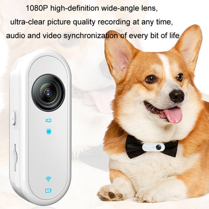 HD Outdoor Portable Pet Recorder Cycling Sports Camera, Specifications: With Silicone Collar by buy2fix