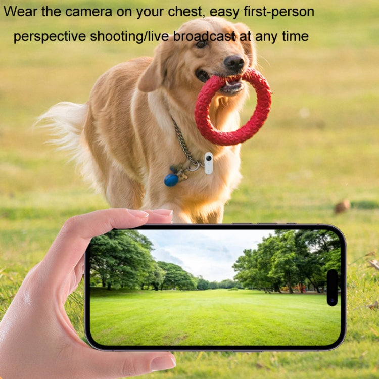 HD Outdoor Portable Pet Recorder Cycling Sports Camera, Specifications: With Silicone Collar by buy2fix