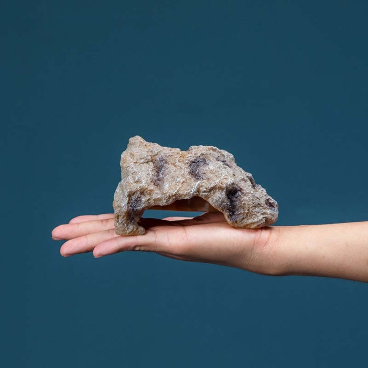 S Reptile Simulation Rocks Hideaway House Turtle Sunbed - Reptile Supplies by buy2fix | Online Shopping UK | buy2fix