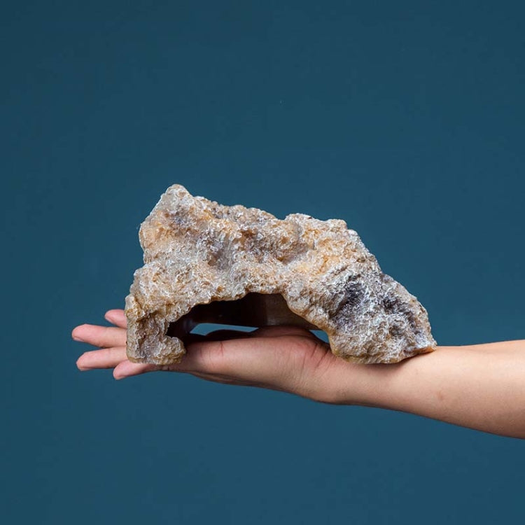 M Reptile Simulation Rocks Hideaway House Turtle Sunbed - Reptile Supplies by buy2fix | Online Shopping UK | buy2fix