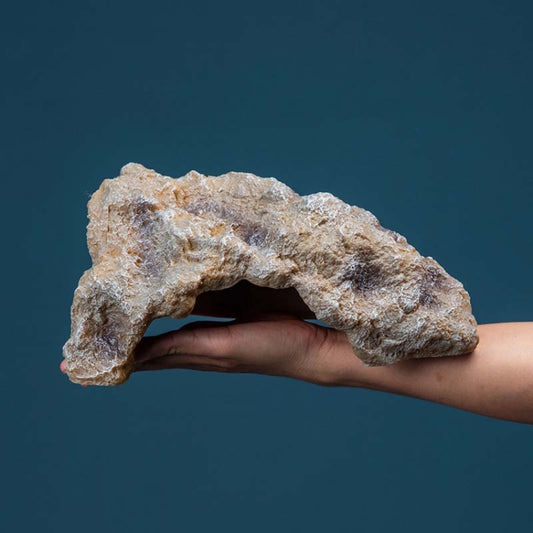 L Reptile Simulation Rocks Hideaway House Turtle Sunbed - Reptile Supplies by buy2fix | Online Shopping UK | buy2fix