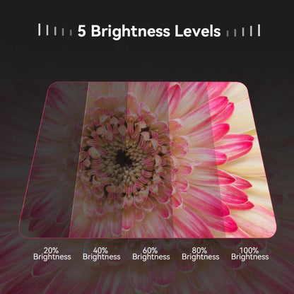 APEXEL APL-FL26 Jewelry Food Still Life Tri-color 9-speed Slim Ring Macro Photography Fill Light - Ring Light by APEXEL | Online Shopping UK | buy2fix