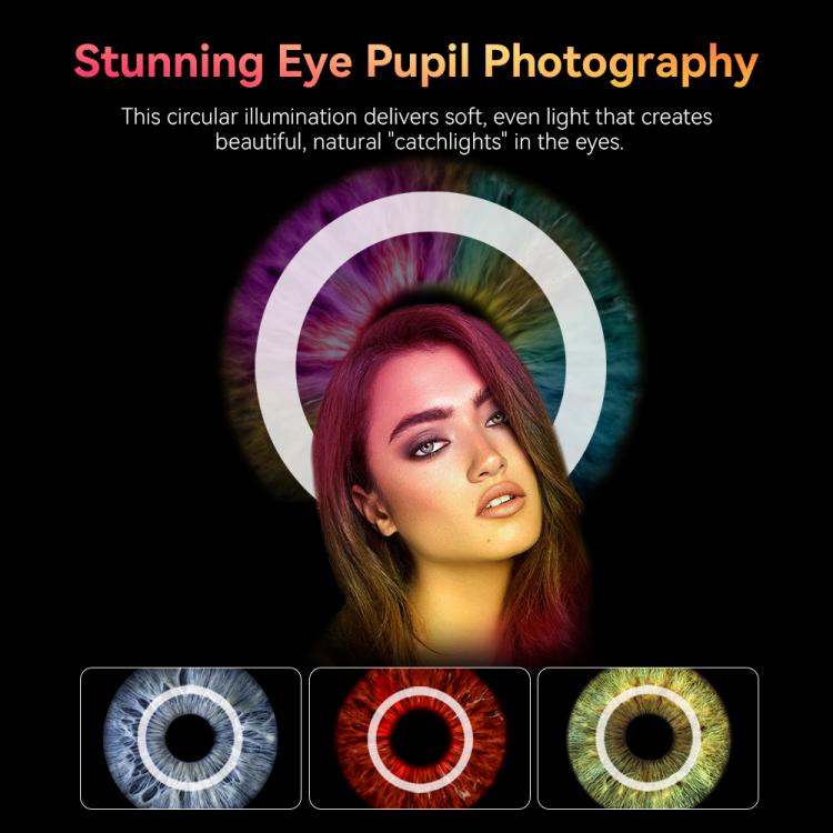 APEXEL APL-FL26 Jewelry Food Still Life Tri-color 9-speed Slim Ring Macro Photography Fill Light - Ring Light by APEXEL | Online Shopping UK | buy2fix