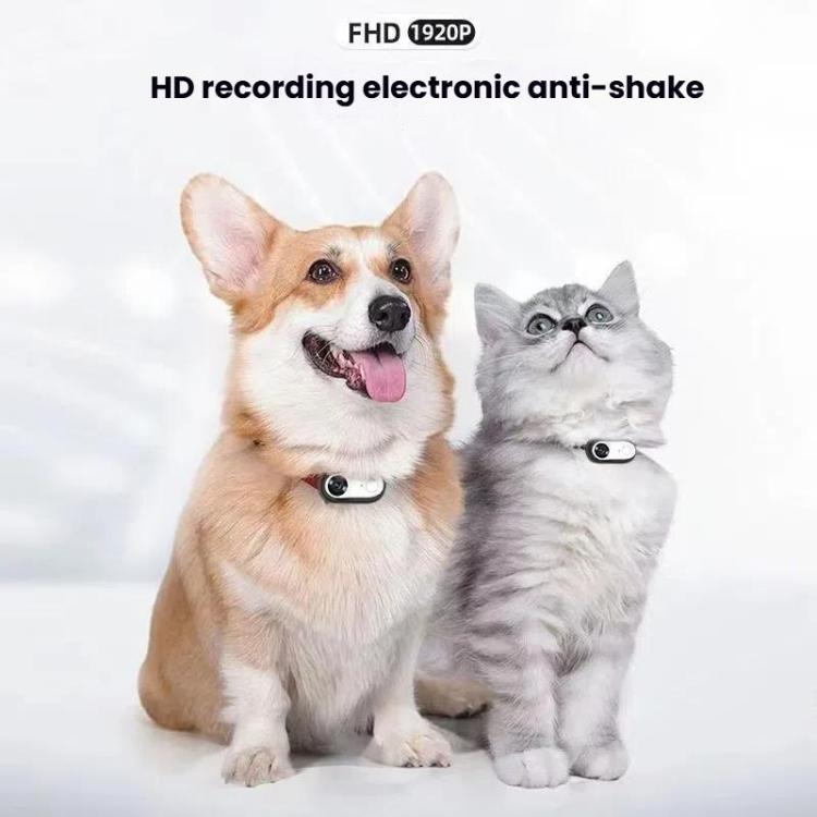Pet Recorder With Collar Cat Dog View Camera, Size: Direct Record With 64G Memory Card(White) - Video Cameras by buy2fix | Online Shopping UK | buy2fix