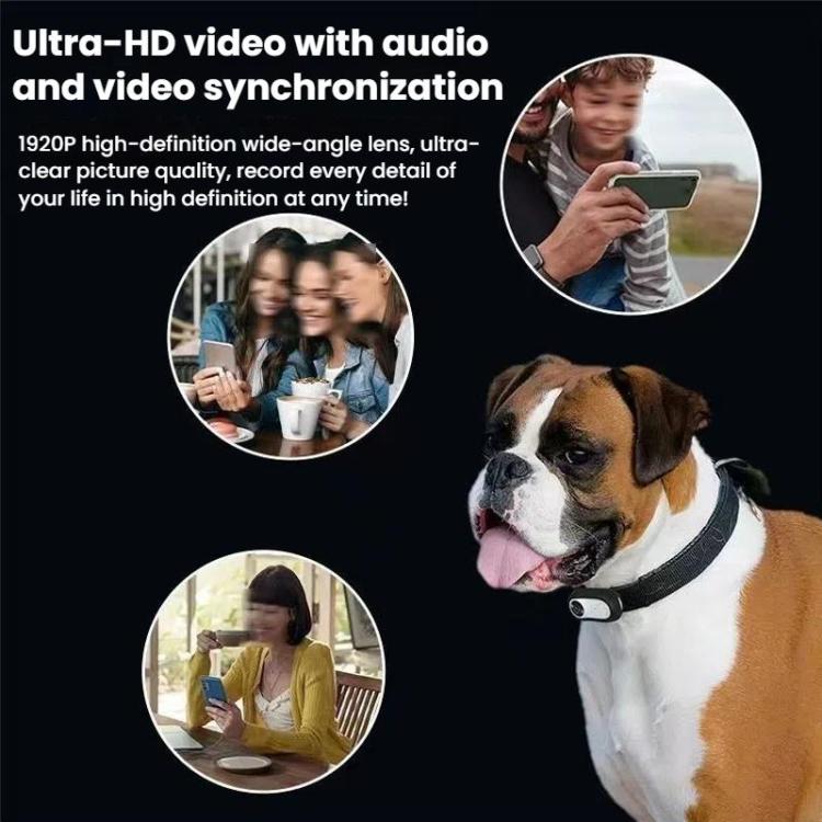 Pet Recorder With Collar Cat Dog View Camera, Size: Direct Record With 32G Memory Card(White) - Video Cameras by buy2fix | Online Shopping UK | buy2fix