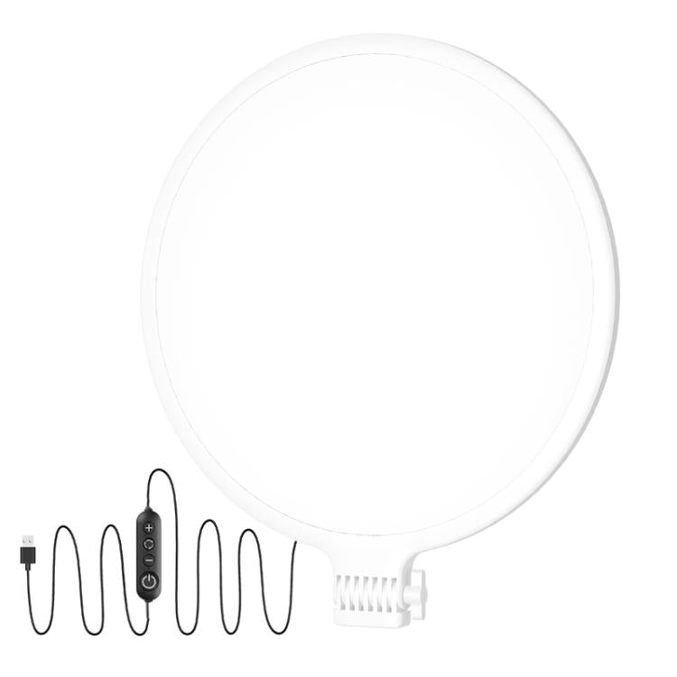 Live Streaming Fill Light LED Photography Lamp Mobile Phone Eye Protection Soft Light Selfie Lamp, Spec: 10inch（White） - Ring Light by buy2fix | Online Shopping UK | buy2fix