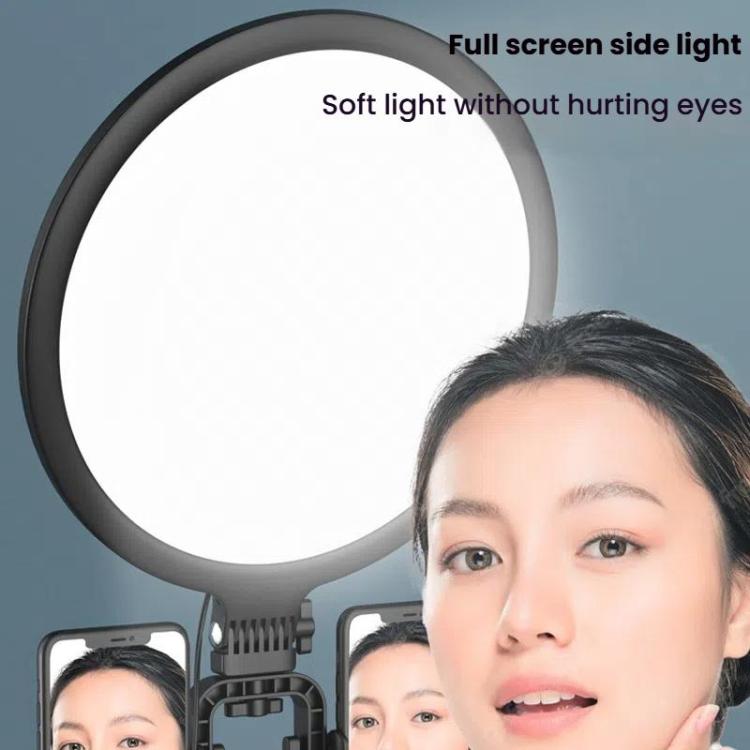 Live Streaming Fill Light LED Photography Lamp Mobile Phone Eye Protection Soft Light Selfie Lamp, Spec: 12inch（Black） - Ring Light by buy2fix | Online Shopping UK | buy2fix