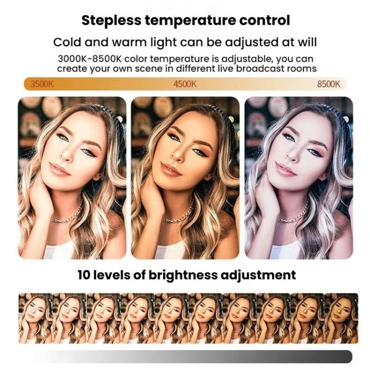 Live Streaming Fill Light LED Photography Lamp Mobile Phone Eye Protection Soft Light Selfie Lamp, Spec: 8inch（Black） - Ring Light by buy2fix | Online Shopping UK | buy2fix