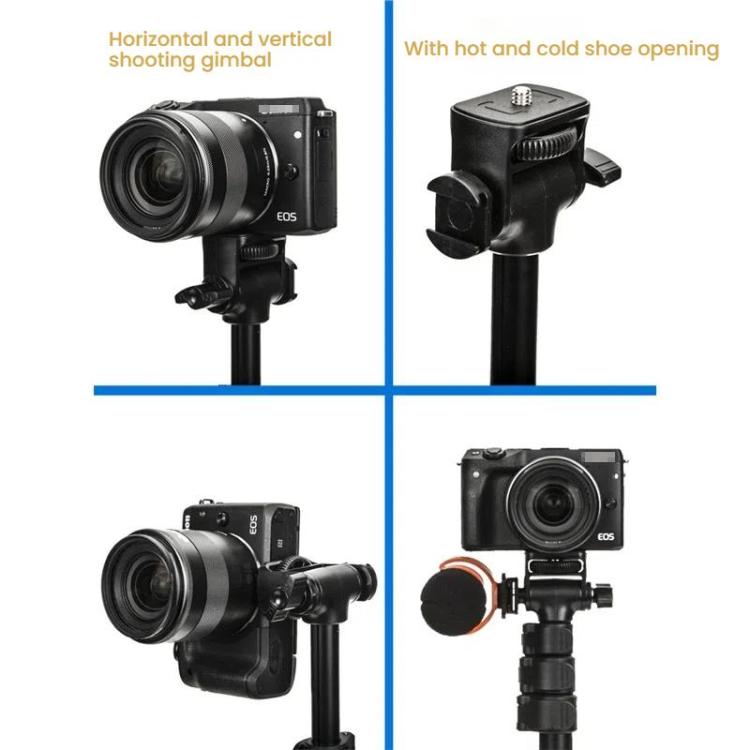 YUNTENG 91666L 18.5-67 Inch Adjustable Tripod Selfie Stick With Remote Control For Phone and Camera(Black) - Stand by YUNTENG | Online Shopping UK | buy2fix