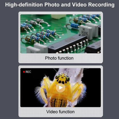 Portable Inspection Jewelry Painting Repair Optical Microscope Mini Primary Secondary Students Experiment Science Apparatus, Style: Black+32G - Digital Microscope by buy2fix | Online Shopping UK | buy2fix