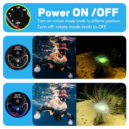 Sea Frogs SF-01  100M/328FT Underwater Strobe For Diving Photography(Black) - Shoe Mount Flashes by Sea Frogs | Online Shopping UK | buy2fix