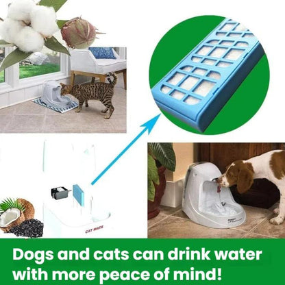 TBD06060635_B2.jpg@f9cec9fae11d1fb1f45c64fc3d27f161