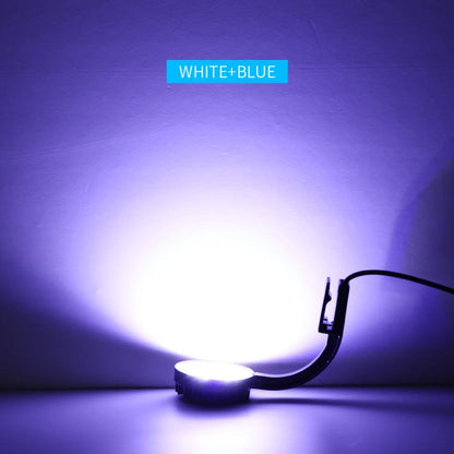 220V 5W Blue White Aquarium LED Clip Light with 12 LEDs USB Powered Mini Fish Tank Light for Aquatic Plants, Water Grass & Small Tanks(White) - Fish Tank Lamps by buy2fix | Online Shopping UK | buy2fix