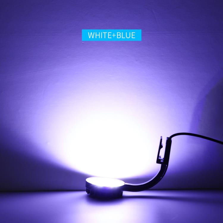 110V 5W Blue White Aquarium LED Clip Light with 12 LEDs USB Powered Mini Fish Tank Light for Aquatic Plants, Water Grass & Small Tanks(White) - Fish Tank Lamps by buy2fix | Online Shopping UK | buy2fix