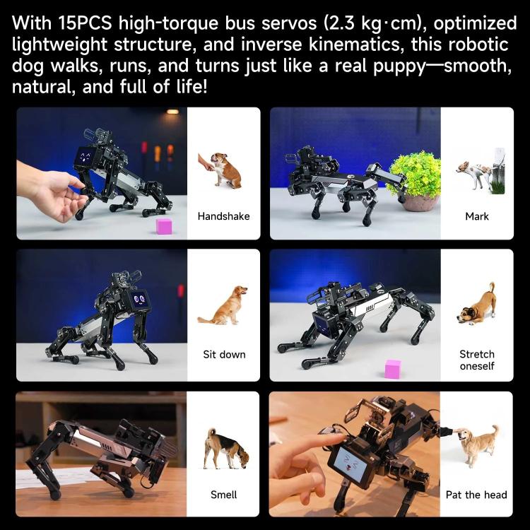 YAHBOOM DOGZILLA-Lite AI-Powered Bionic Robotic Dog 15-DOF Desktop Companion With Robotic Arm, Raspberry Pi Controlled, Multimodal AI & Visual Interaction - Robotics Accessories by YAHBOOM | Online Shopping UK | buy2fix