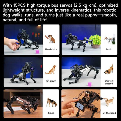 YAHBOOM DOGZILLA-Lite AI-Powered Bionic Robotic Dog 15-DOF Desktop Companion With Robotic Arm, Raspberry Pi Controlled, Multimodal AI & Visual Interaction - Robotics Accessories by YAHBOOM | Online Shopping UK | buy2fix