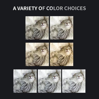 For DJI Osmo Pocket 3 JSR Fixed Frame Head Fill Light, Spec: With Black Soft 1/8 Filter - Other Accessories by JSR | Online Shopping UK | buy2fix