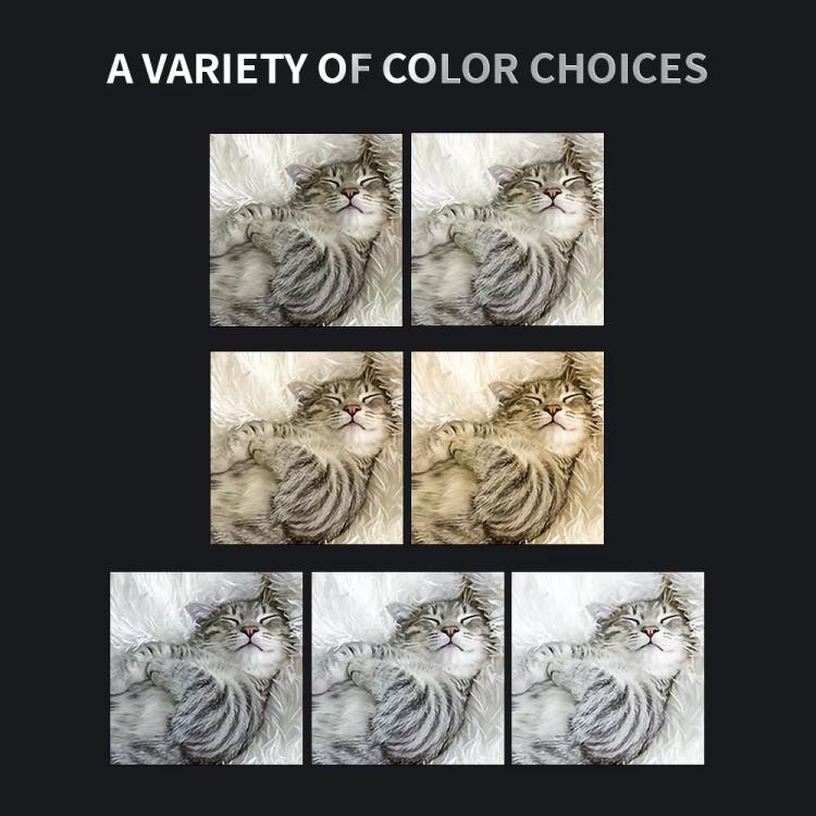 For DJI Osmo Pocket 3 JSR Fixed Frame Head Fill Light, Spec: With Black Soft 1/4+Black Soft 1/8+Soft Focus Lens - Other Accessories by JSR | Online Shopping UK | buy2fix