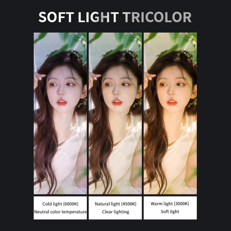 For DJI Osmo Pocket 3 JSR Fixed Frame Head Fill Light, Spec: With Black Soft 1/4 Filter - Other Accessories by JSR | Online Shopping UK | buy2fix