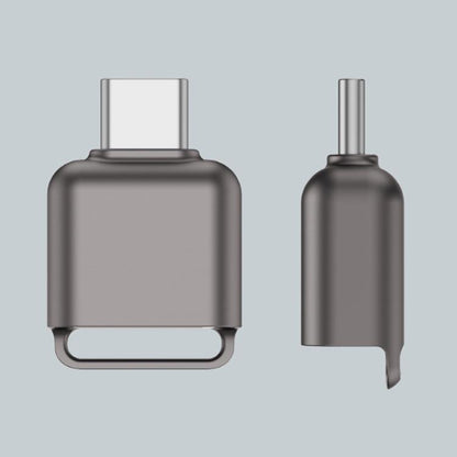 Type-C To TF / Micro SD Card Reader Memory Card Mini Adapter(Tarnish) - U Disk & Card Reader by buy2fix | Online Shopping UK | buy2fix