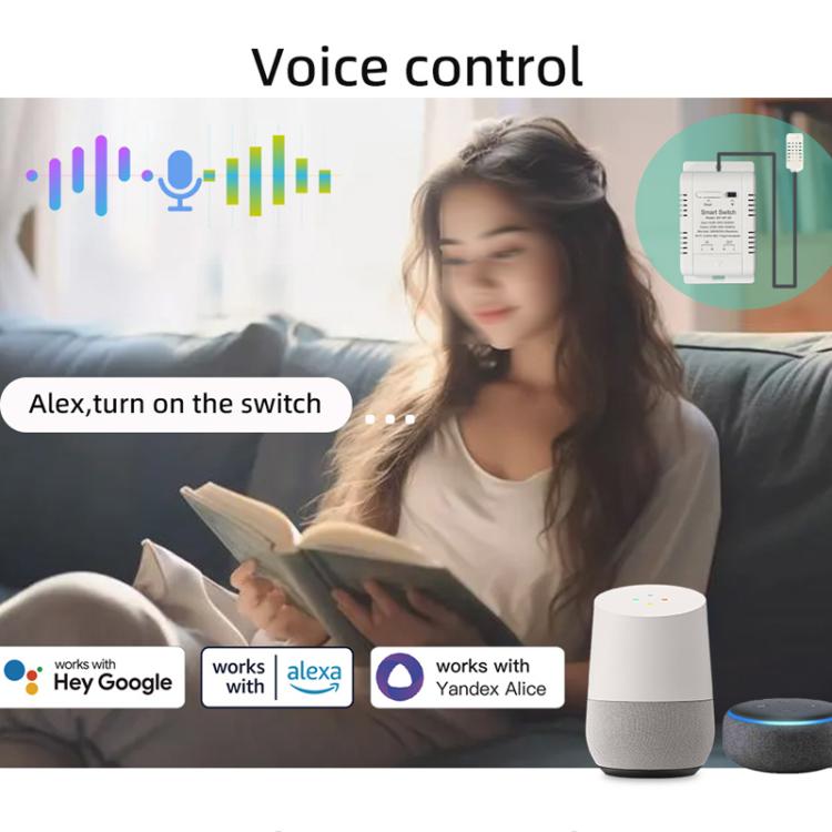 DIY-WT-09 20A Temperature Switch Smart Thermostat, Compatible With Google / Alexa / Yandex Alice / IFTTT, Spec: Humidity+1m Temperature Humidity Sensor - Thermostat & Thermometer by buy2fix | Online Shopping UK | buy2fix