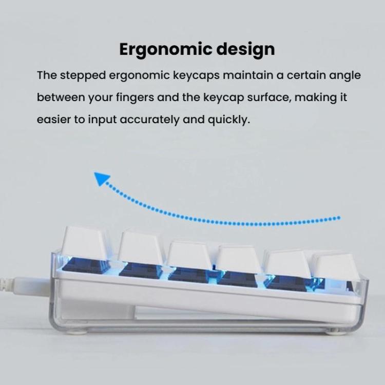 Little Kangaroo DS-9817 Backlit Non-Switching Wired Numeric Keypad Financial Business Banking Keyboard - Mini Keyboard by Little Kangaroo | Online Shopping UK | buy2fix
