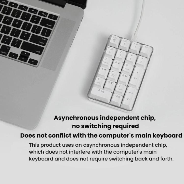 Little Kangaroo DS-9817 Backlit Non-Switching Wired Numeric Keypad Financial Business Banking Keyboard - Mini Keyboard by Little Kangaroo | Online Shopping UK | buy2fix