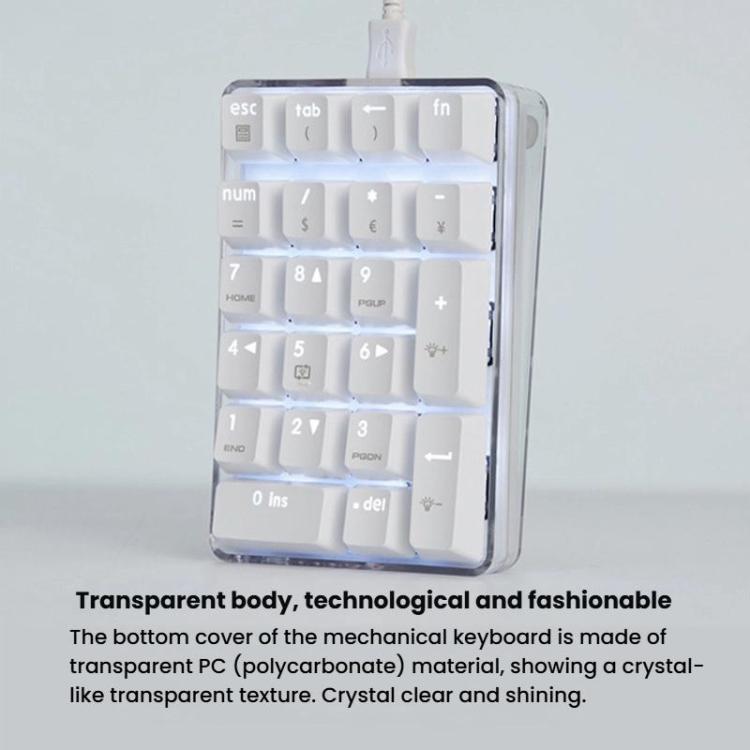 Little Kangaroo DS-9817 Backlit Non-Switching Wired Numeric Keypad Financial Business Banking Keyboard - Mini Keyboard by Little Kangaroo | Online Shopping UK | buy2fix