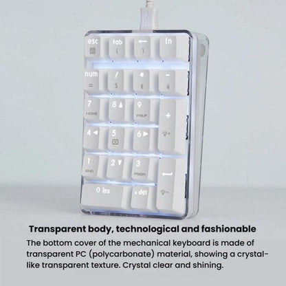 Little Kangaroo DS-9817 Backlit Non-Switching Wired Numeric Keypad Financial Business Banking Keyboard - Mini Keyboard by Little Kangaroo | Online Shopping UK | buy2fix