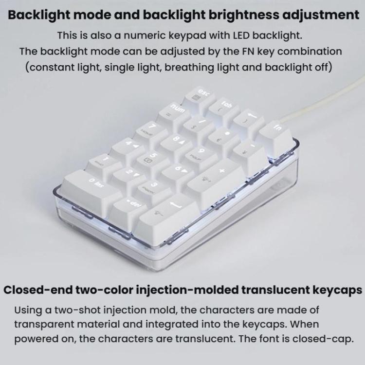Little Kangaroo DS-9817 Backlit Non-Switching Wired Numeric Keypad Financial Business Banking Keyboard - Mini Keyboard by Little Kangaroo | Online Shopping UK | buy2fix