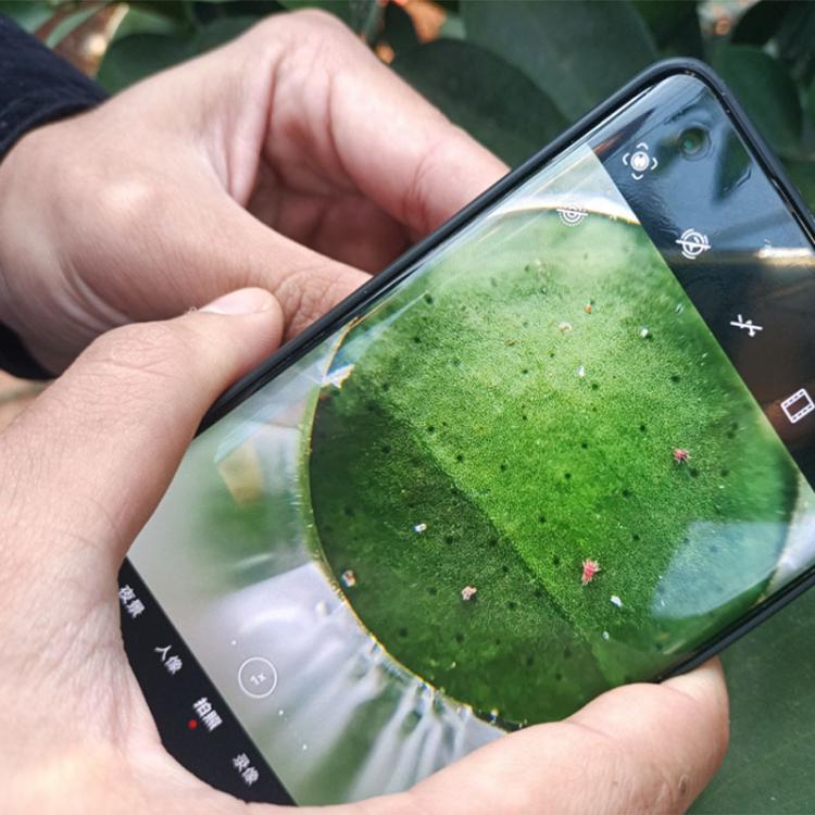 Skin Hair Follicles Scalp Macro Magnifier For Mobile Phones(S001) - Others Lens by buy2fix | Online Shopping UK | buy2fix