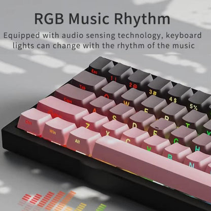 TBD06063333_B7.jpg@88ac0c260863d0a6799610e049a469ff