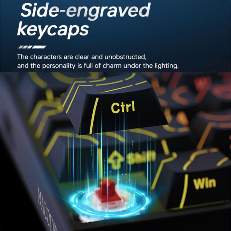 TBD06063423_B8.jpg@44c3234cc15d435cc7937aa10fedeae1