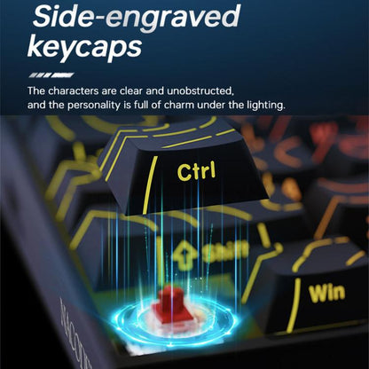 TBD06063423_B8.jpg@44c3234cc15d435cc7937aa10fedeae1