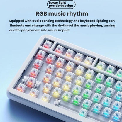 TBD06063434_B3.jpg@469afdfc19111ca549824f7d3d1a0c65