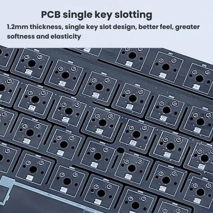 TBD06063434_B5.jpg@97ca7e84246e99127ea361086b334842