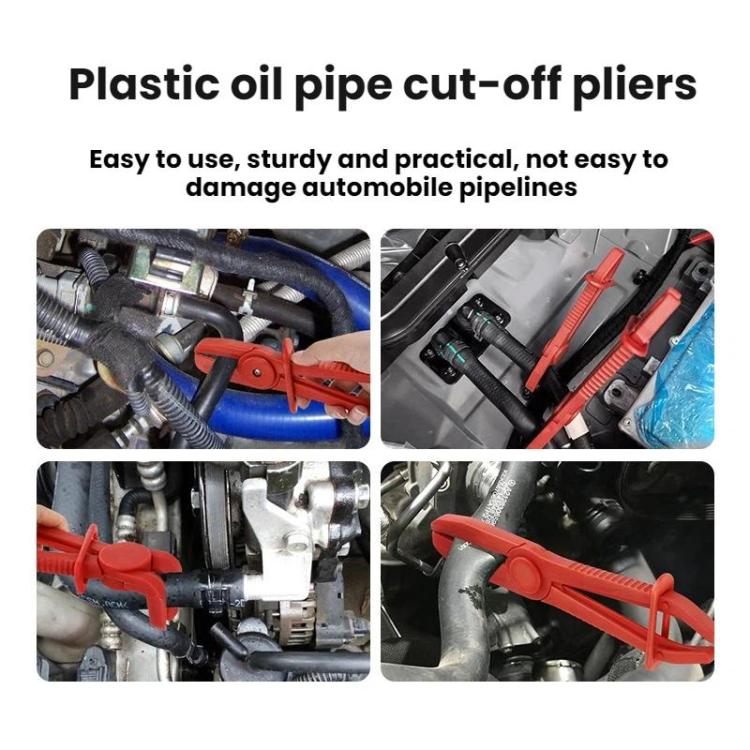 TBD06063800_B5.jpg@580d02a4ccbc435707287a410cb379ce