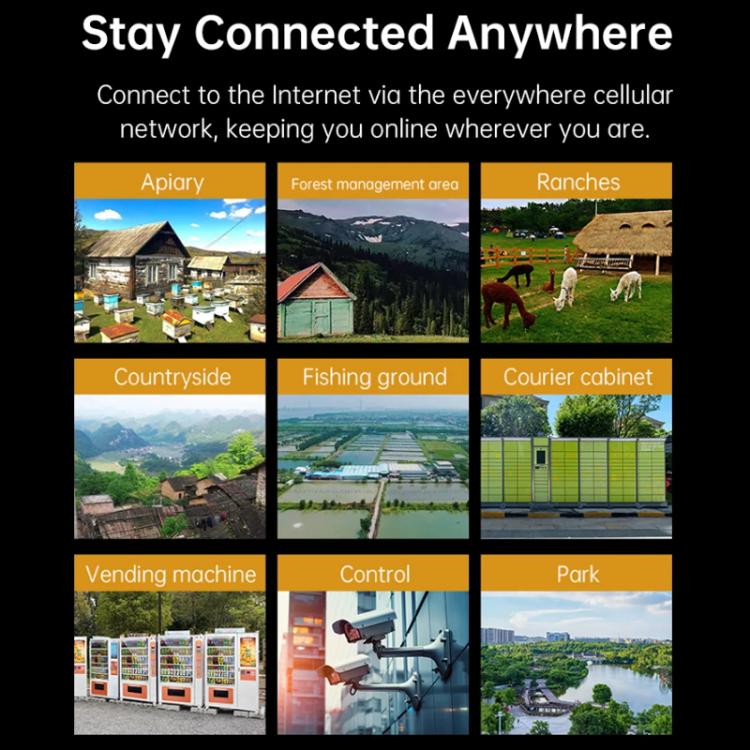 TBD06064501_B13.jpg@c4e7542badc7fa288366480ec163997d