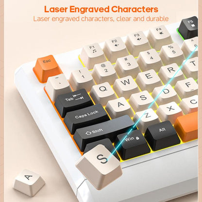 TBD06064909_B3.jpg@845b27986be12f61df071f06d8bb099d