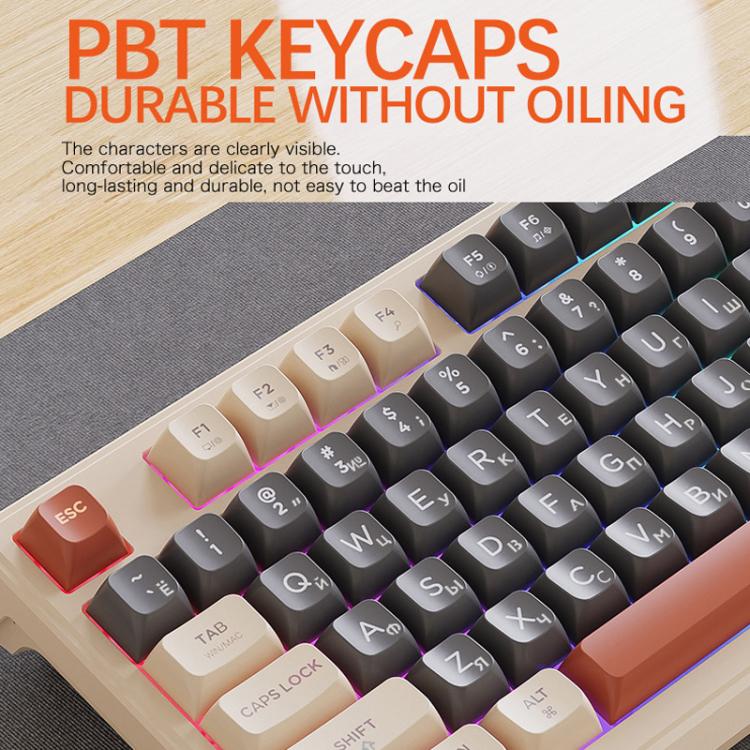 TBD06065366_B7.jpg@3e10313df11bdc4028d77b29ce6d69d9